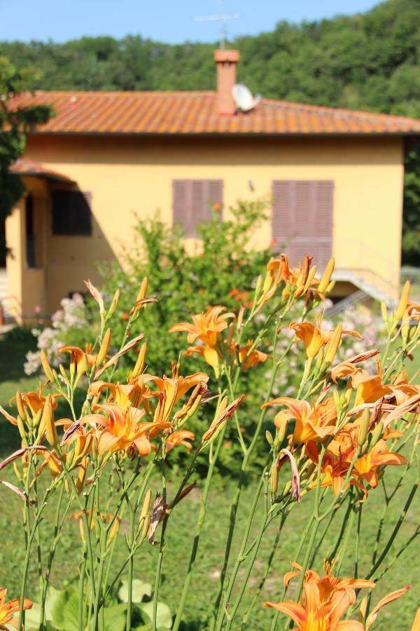 La Valle De' Medici Barberino di Mugello Zewnętrze zdjęcie