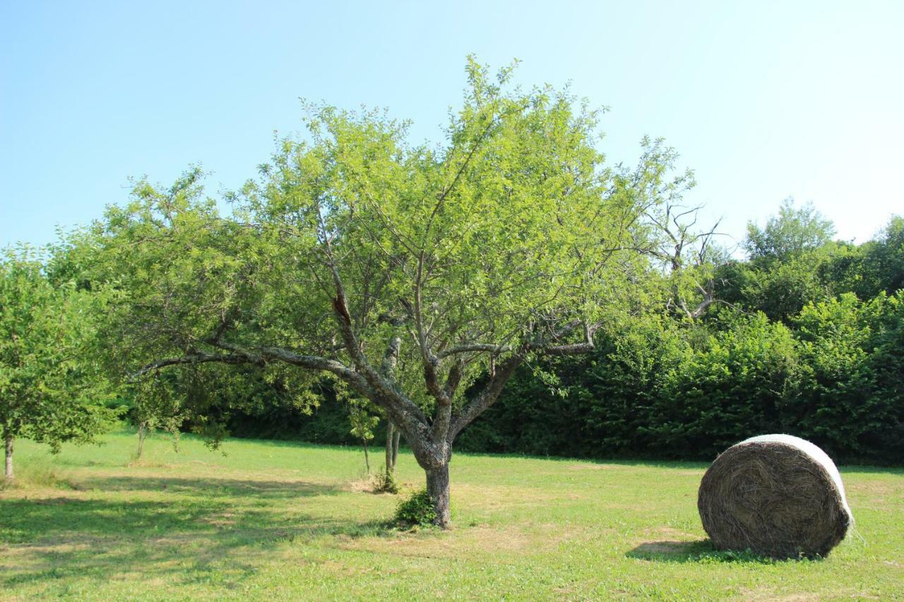 La Valle De' Medici Barberino di Mugello Zewnętrze zdjęcie